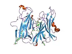 1sdw: Reduced (Cu+) peptidylglycine alpha-hydroxylating monooxygenase with bound peptide and dioxygen