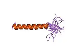 1spf: THE NMR STRUCTURE OF THE PULMONARY SURFACTANT-ASSOCIATED POLYPEPTIDE SP-C IN AN APOLAR SOLVENT CONTAINS A VALYL-RICH ALPHA-HELIX