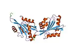 1t2l: Three Crystal Structures of Human Coactosin-like Protein