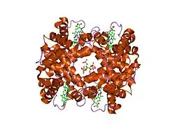 1thb: REFINEMENT OF A PARTIALLY OXYGENATED T STATE HAEMOGLOBIN AT 1.5 ANGSTROMS RESOLUTION