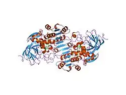 1u3t: Crystal Structure of Human Alcohol Dehydrogenase Alpha-Alpha Isoform Complexed with N-Cyclopentyl-N-Cyclobutylformamide Determined to 2.5 Angstrom Resolution