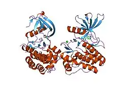 1u4d: Structure of the ACK1 Kinase Domain bound to Debromohymenialdisine
