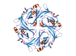 1u4f: Crystal Structure of Cytoplasmic Domains of IRK1 (Kir2.1) channel