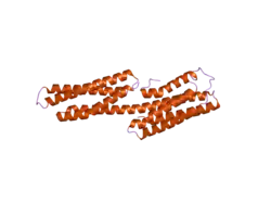 1u6h: Vinculin head (0-258) in complex with the talin vinculin binding site 2 (849-879)