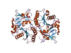 1v82: Crystal structure of human GlcAT-P apo form