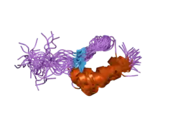 1va1: Solution Structure of Transcription Factor Sp1 DNA Binding Domain (Zinc Finger 1)