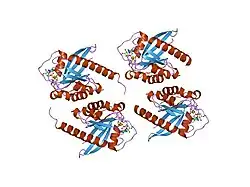 1vg8: GPPNHP-Bound Rab7