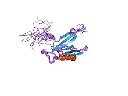 1wfg: PDZ domain of human RIM2B