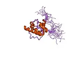 1wjo: Solution structure of the fourth CH domain from human plastin 3 T-isoform