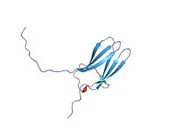 1wwb: LIGAND BINDING DOMAIN OF HUMAN TRKB RECEPTOR