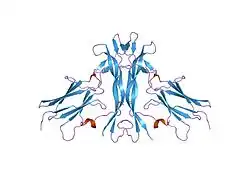 1www: NGF IN COMPLEX WITH DOMAIN 5 OF THE TRKA RECEPTOR