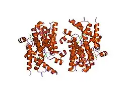 1y2j: Catalytic Domain Of Human Phosphodiesterase 4B In Complex With 3,5-dimethyl-1-(3-nitro-phenyl)-1H-pyrazole-4-carboxylic acid ethyl ester