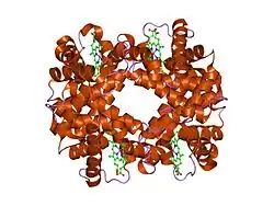 1y7g: T-To-T(high) quaternary transitions in human hemoglobin: betaN102A deoxy low-salt (1 test set)