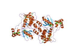 1y8g: Catalytic and ubiquitin-associated domains of MARK2/PAR-1: Inactive double mutant with selenomethionine