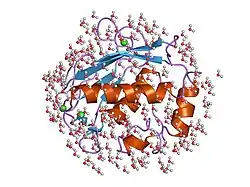 1y93: Crystal structure of the catalytic domain of human MMP12 complexed with acetohydroxamic acid at atomic resolution