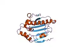 1yes: HUMAN HSP90 GELDANAMYCIN-BINDING DOMAIN, ""OPEN"" CONFORMATION