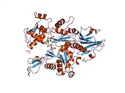 1yvn: THE YEAST ACTIN VAL 159 ASN MUTANT COMPLEX WITH HUMAN GELSOLIN SEGMENT 1.
