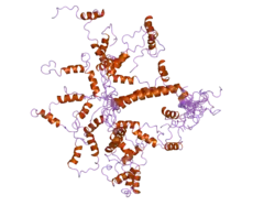1yx4: Structure of S5a bound to monoubiquitin provides a model for polyubiquitin recognition