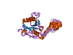 1yzb: Solution structure of the Josephin domain of Ataxin-3