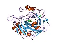 1z9y: carbonic anhydrase II in complex with furosemide as sulfonamide inhibitor