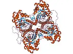 1zaj: Fructose-1,6-bisphosphate aldolase from rabbit muscle in complex with mannitol-1,6-bisphosphate, a competitive inhibitor