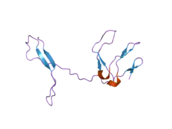 1zka: NF-kB RelB forms an intertwined homodimer, Y300S mutant
