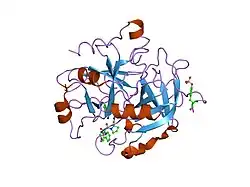 1zrb: Thrombin in complex with an azafluorenyl inhibitor 23b