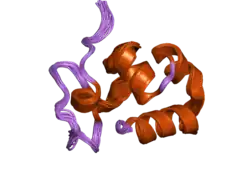 1zv6: NMR structure of the human dematin headpiece S74E mutant