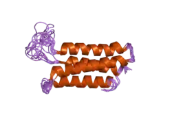 1zzp: Solution structure of the F-actin binding domain of Bcr-Abl/c-Abl