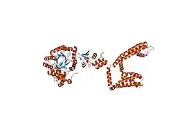 2a79: Mammalian Shaker Kv1.2 potassium channel- beta subunit complex