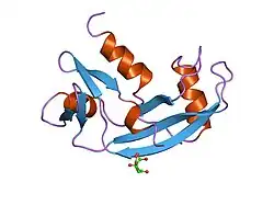 2ang: CRYSTAL STRUCTURE OF HUMAN ANGIOGENIN OF THE MET(-1) FORM