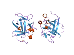 2aqz: Crystal structure of FGF-1, S17T/N18T/G19 deletion mutant