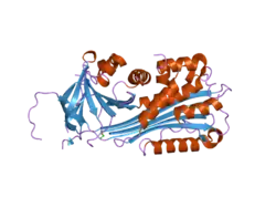 2arq: Human plasminogen activator inhibitor-2.[loop (66-98) deletion mutant] complexed with peptide n-acetyl-teaaagdggvmtgr-oh