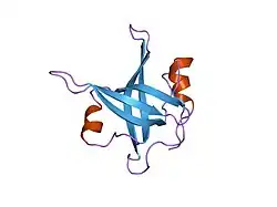 2b29: N-terminal domain of the RPA70 subunit of human replication protein A.