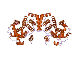 2b9r: Crystal Structure of Human Cyclin B1