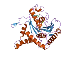 2bc9: Crystal-structure of the N-terminal large GTPase Domain of human Guanylate Binding protein 1 (hGBP1) in complex with non-hydrolysable GTP analogue GppNHp