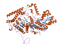 2bfb: REACTIVITY MODULATION OF HUMAN BRANCHED-CHAIN ALPHA-KETOACID DEHYDROGENASE BY AN INTERNAL MOLECULAR SWITCH