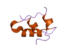 2bn1: INSULIN AFTER A HIGH DOSE X-RAY BURN