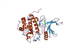 2bro: STRUCTURE-BASED DESIGN OF NOVEL CHK1 INHIBITORS: INSIGHTS INTO HYDROGEN BONDING AND PROTEIN-LIGAND AFFINITY