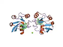 2bt6: RU(BPY)2(MBPY)-MODIFIED BOVINE ADRENODOXIN