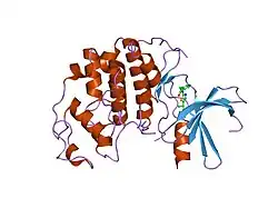 2btr: STRUCTURE OF CDK2 COMPLEXED WITH PNU-198873