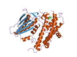 2bu6: CRYSTAL STRUCTURES OF HUMAN PYRUVATE DEHYDROGENASE KINASE 2 CONTAINING PHYSIOLOGICAL AND SYNTHETIC LIGANDS