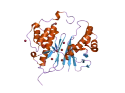 2byd: STRUCTURE OF AMINOADIPATE-SEMIALDEHYDE DEHYDROGENASE-PHOSPHOPANTETHEINYL TRANSFERASE