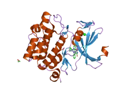 2bzh: CRYSTAL STRUCTURE OF THE HUMAN PIM1 IN COMPLEX WITH A RUTHENIUM ORGANOMETALLIC LIGAND RU1