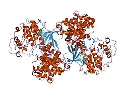 2c5n: DIFFERENTIAL BINDING OF INHIBITORS TO ACTIVE AND INACTIVE CDK2 PROVIDES INSIGHTS FOR DRUG DESIGN