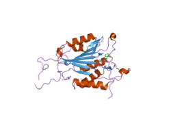 2cnk: CRYSTAL STRUCTURES OF CASPASE-3 IN COMPLEX WITH AZA-PEPTIDE EPOXIDE INHIBITORS.