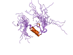 2coo: Solution structure of the e3_binding domain of dihydrolipoamide branched chaintransacylase