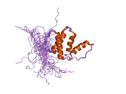 2cqu: Solution Structure of RSGI RUH-045, a Human Acyl-CoA Binding Protein