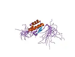 2ctj: Solution structure of the 8th KH type I domain from human Vigilin