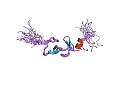 2cu8: Solution structure of the LIM domain of human Cysteine-rich protein 2